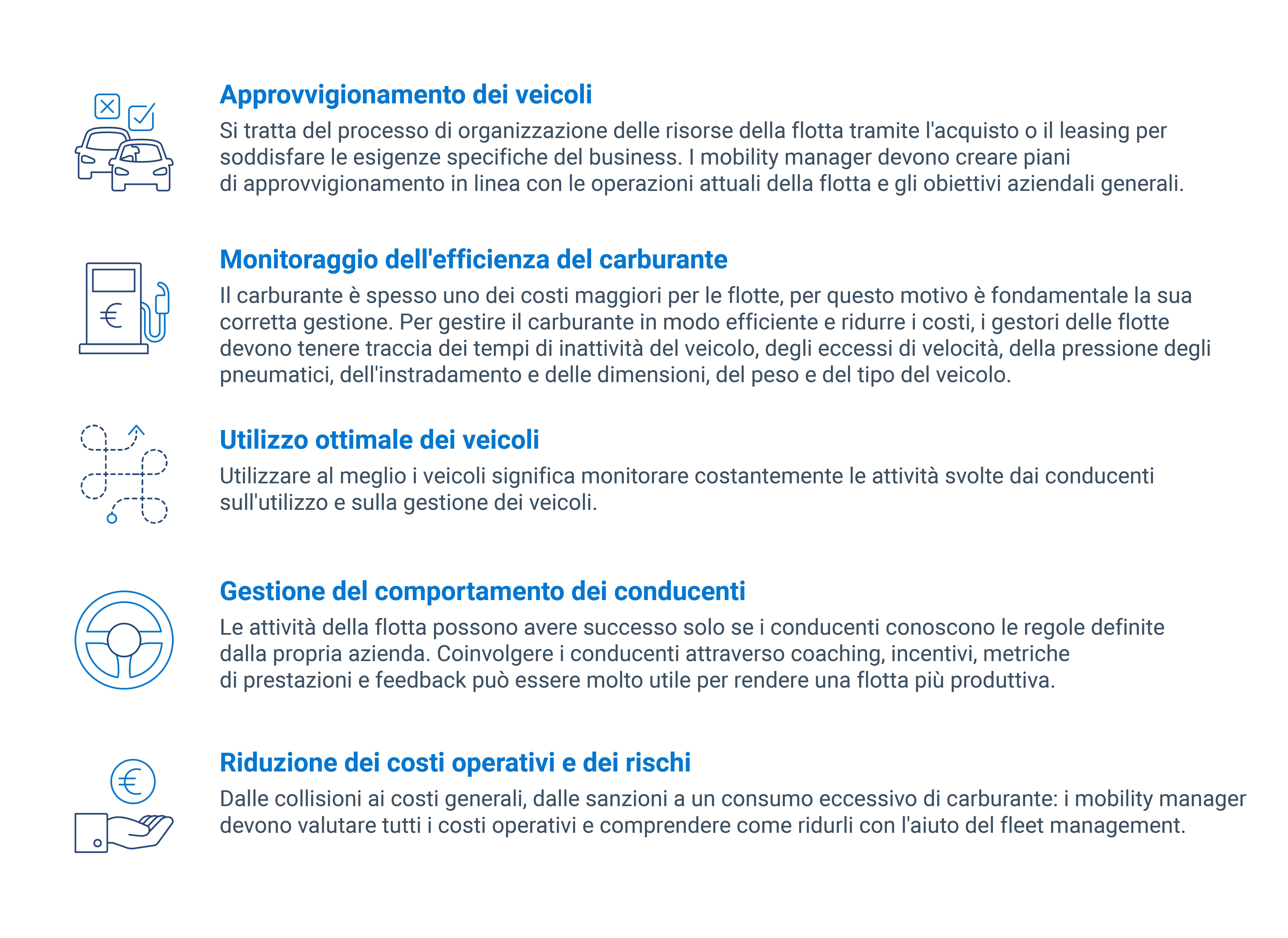 infografrica approcci gestione flotta